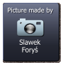 Slawek Foryś  Picture made by