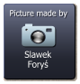 Slawek Foryś  Picture made by