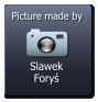 Slawek Foryś  Picture made by