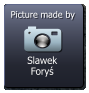 Slawek Foryś  Picture made by