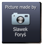 Slawek Foryś  Picture made by