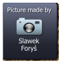 Slawek Foryś  Picture made by