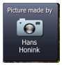 Hans Honink  Picture made by