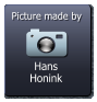Hans Honink  Picture made by