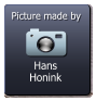 Hans Honink  Picture made by