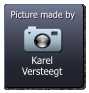 Karel Versteegt  Picture made by