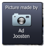 Ad Joosten  Picture made by