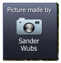 Sander Wubs  Picture made by