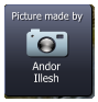 Andor Illesh  Picture made by