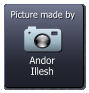 Andor Illesh  Picture made by
