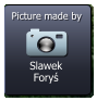 Slawek Foryś  Picture made by