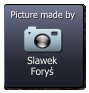 Slawek Foryś  Picture made by