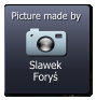 Slawek Foryś  Picture made by