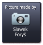 Slawek Foryś  Picture made by