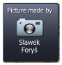 Slawek Foryś  Picture made by