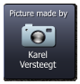 Karel Versteegt  Picture made by