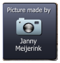 Janny Meijerink  Picture made by