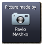 Pavlo Meshko  Picture made by