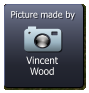 Vincent Wood  Picture made by